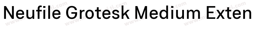 Neufile Grotesk Medium Extended Ita字体转换
